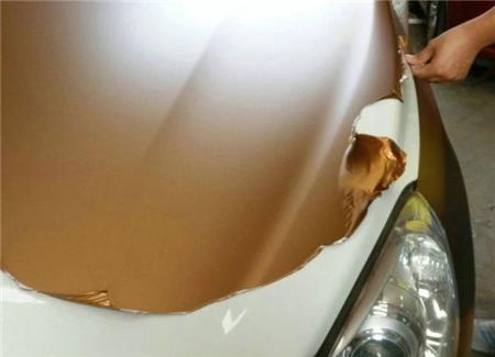 可移車貼