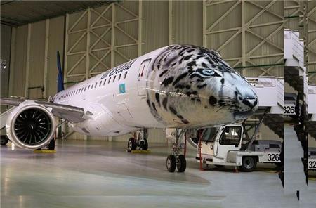 飛機車身貼涂裝