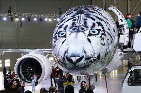 飛機車身貼涂裝